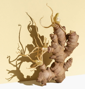 ginger root